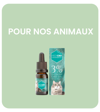 Soins CBD pour Animaux