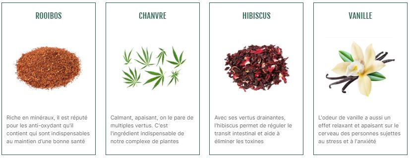 INFUSION CBD BIO : ROOIBOS DETENTE