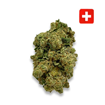 Blue Cheese