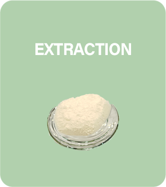 Extractions CBD