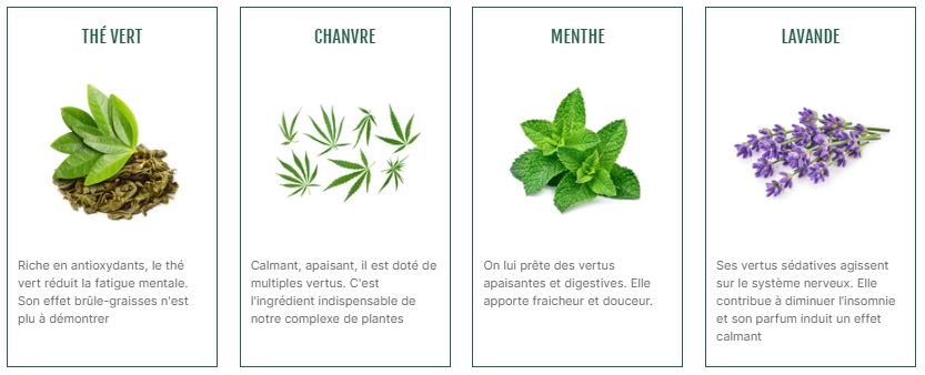 Ingrédients thé vert CBD