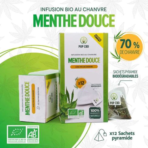 Sachet pyramide "menthe douce