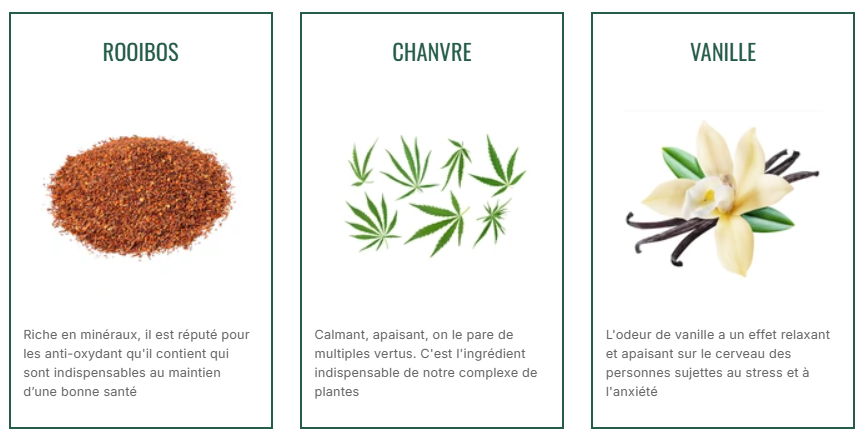 ingrédient infusion rooibos vanille