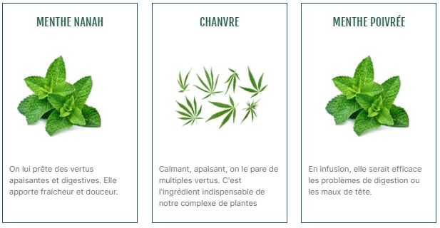 ingrédient sachet pyramide CBD