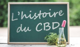 Blog l'histoire du cbd