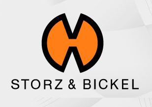 logo stormz & bickel