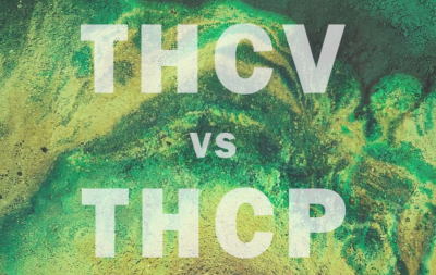 Blog-thcv & thcp 