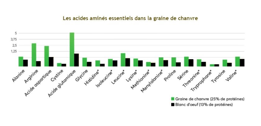 Blog-acide-amines