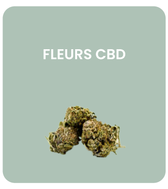 catgorie fleurs cbd