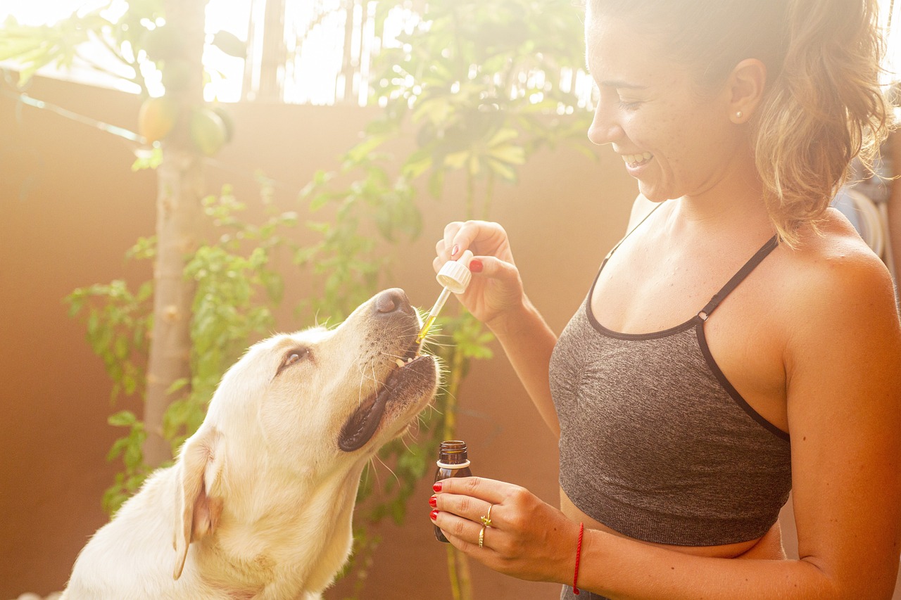 femme qui donne a son chien du cbd avec une pipette d'huile